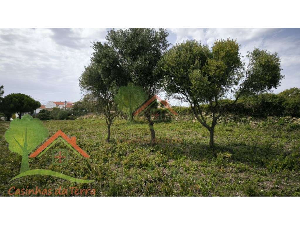 Terreno rústico perto de Catribana-6