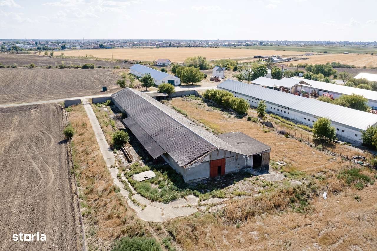 Ferma zootehnica, 19.367 mp,  Vladimirescu - Imagine principală: 5/8