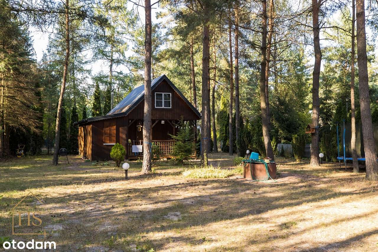 Urokliwa działka ROD "SOSENKA"  – idealne miejsce na rodzinne wypady!-2