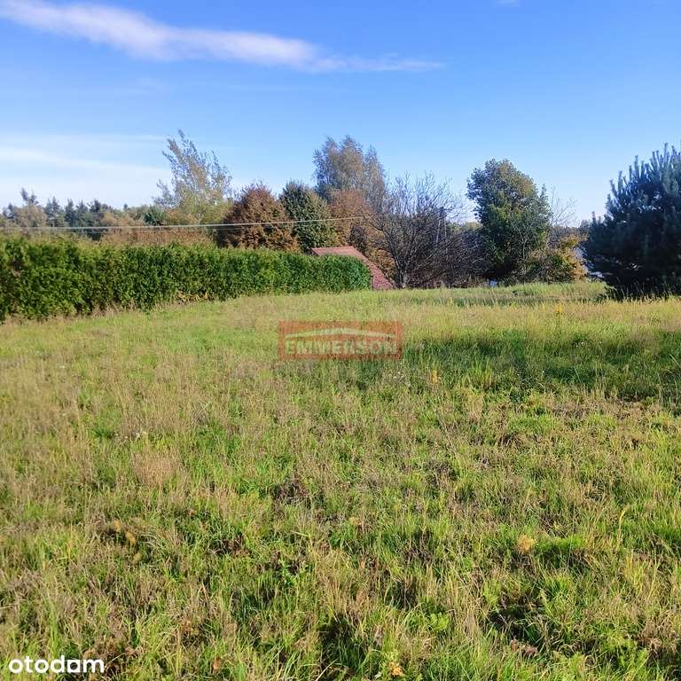 Widokowa -media, PKP, Puszcza Niepołomicka - Pełny obrazek: 5/8