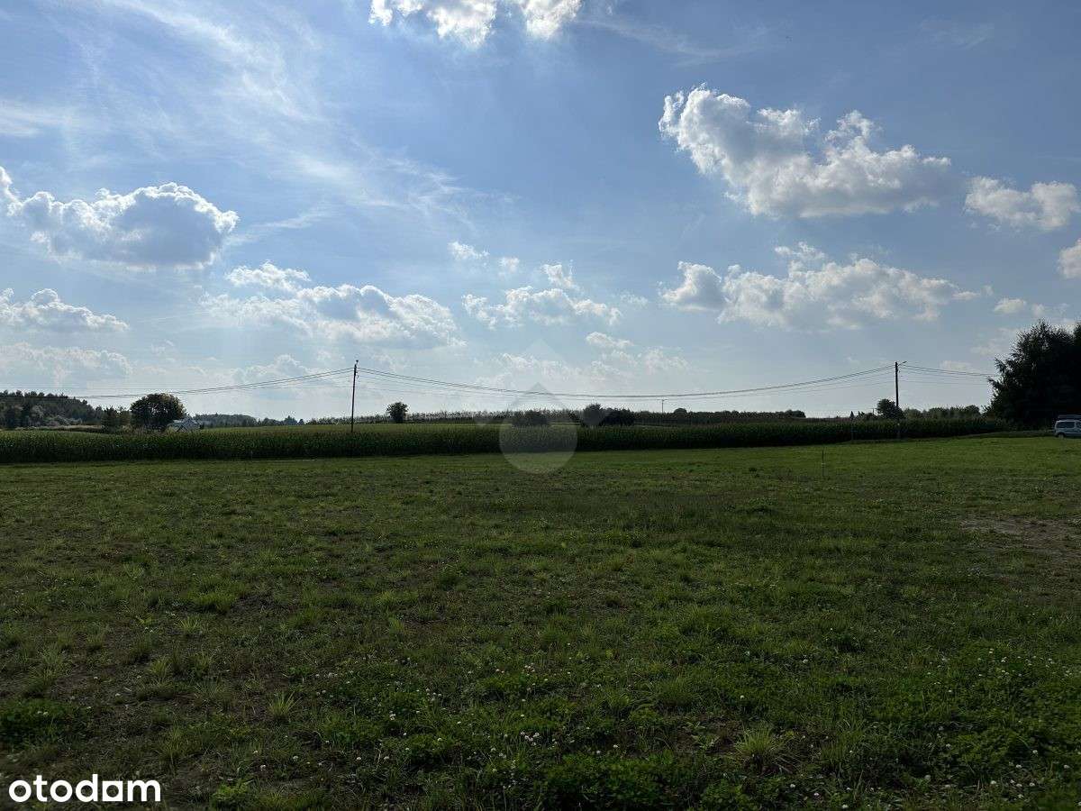 Płaska działka budowlana - Pełny obrazek: 5/5