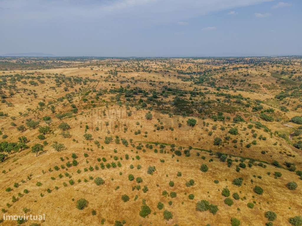Herdade em Vila Nova de São Bento | 172 hectares-13