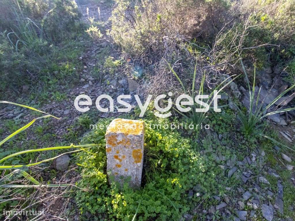 Lote de Terreno Rustico para cultura de sequeiro nas Fontainhas - Grande imagem: 4/14