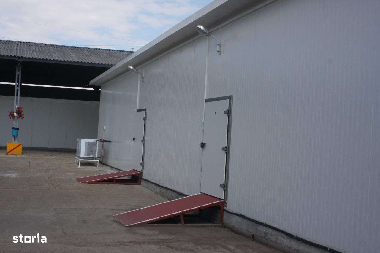 Depozite frigorifice congelate sau refrigertate - Imagine principală: 4/4