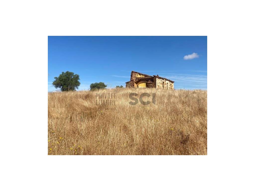 Pequena Quinta com Ruína para Recuperar em Vila Nova de São Bento-24