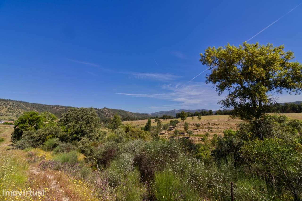 Quinta - Grande imagem: 4/15