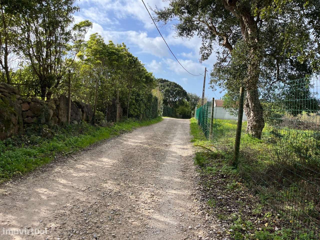 Terreno Rustico no sobreiro com 6.250 m2 - Grande imagem: 4/25