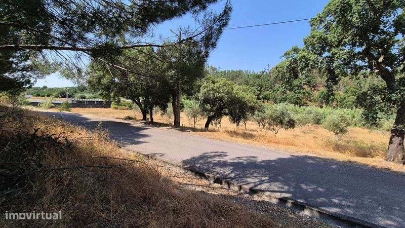 Quinta em Bemposta, Abrantes - Grande imagem: 5/12