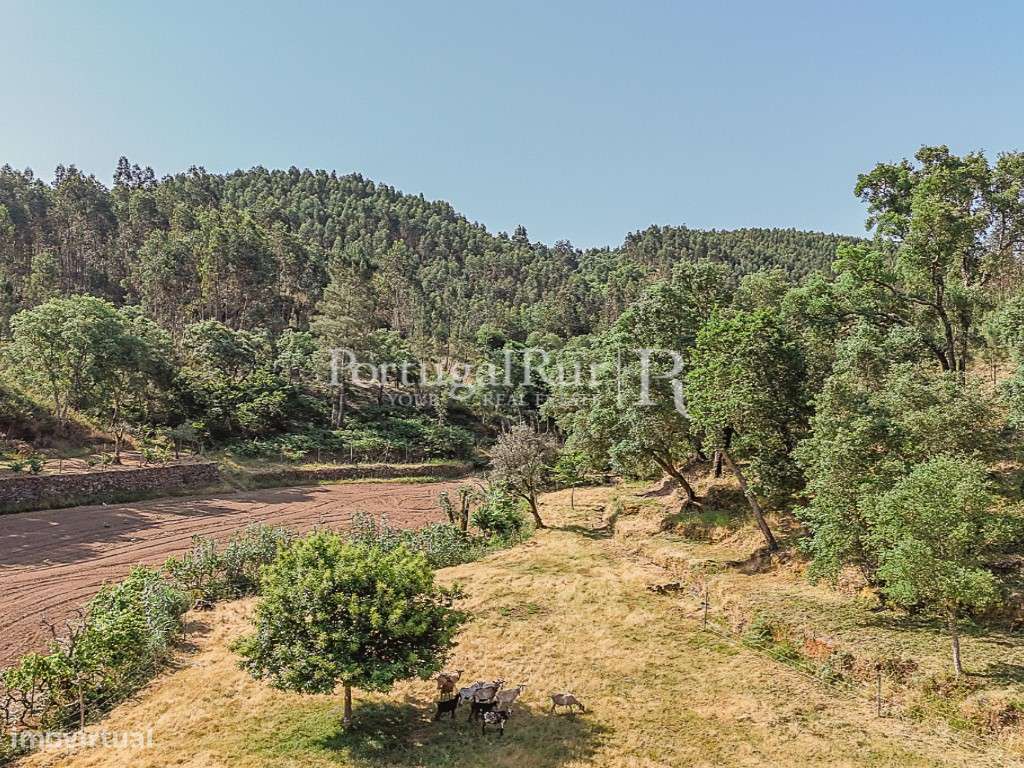 Quinta de 30.000m2 com ruínas e poços na Sertã - Grande imagem: 4/32