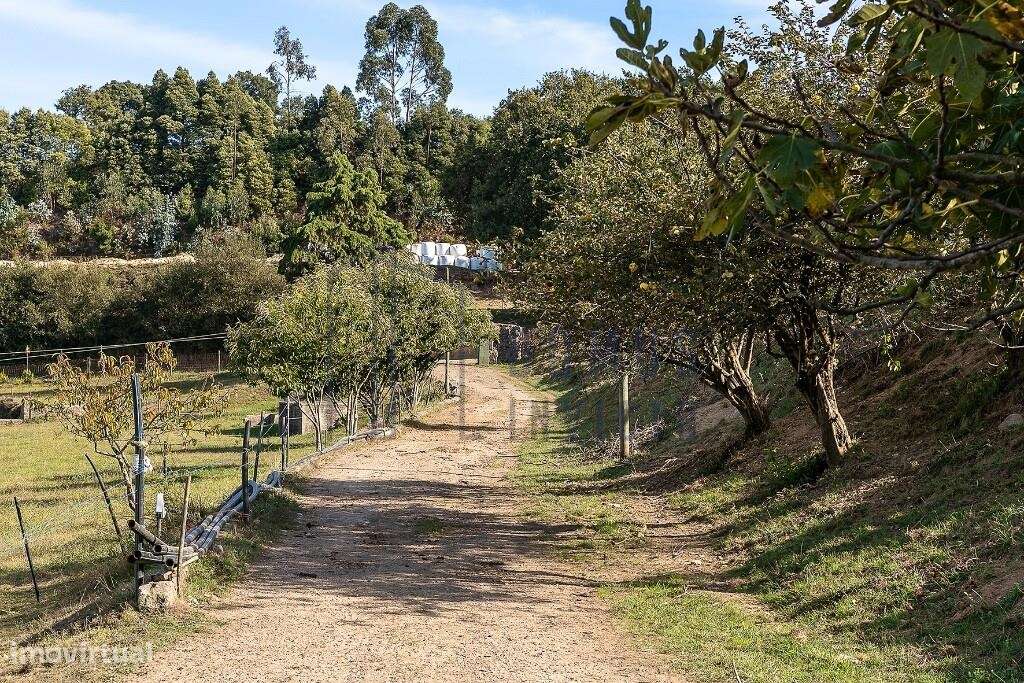 Quinta em Pedroso, Vila Nova de Gaia, com 40 mil metros quadrados.-50