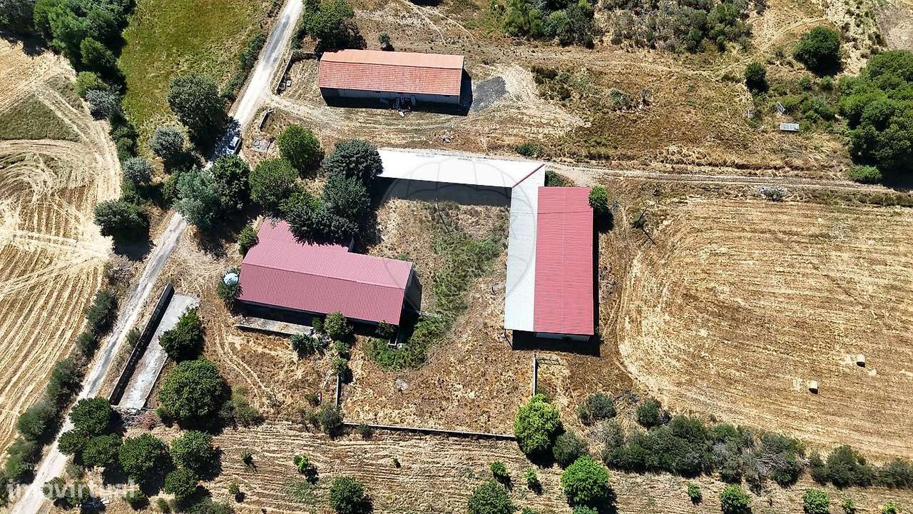 Armazém  para venda - Grande imagem: 5/14