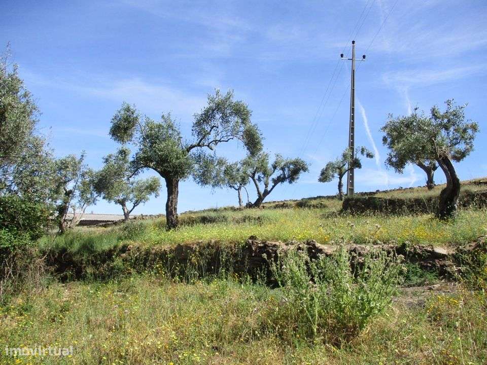 Quinta - Grande imagem: 2/10