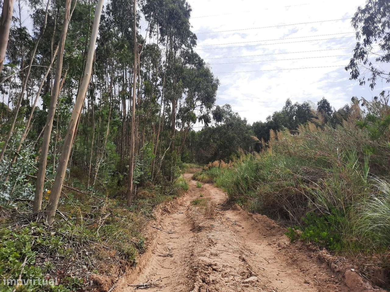 Terreno Rústico  VALE DE LOBOS - SINTRA - Grande imagem: 5/10