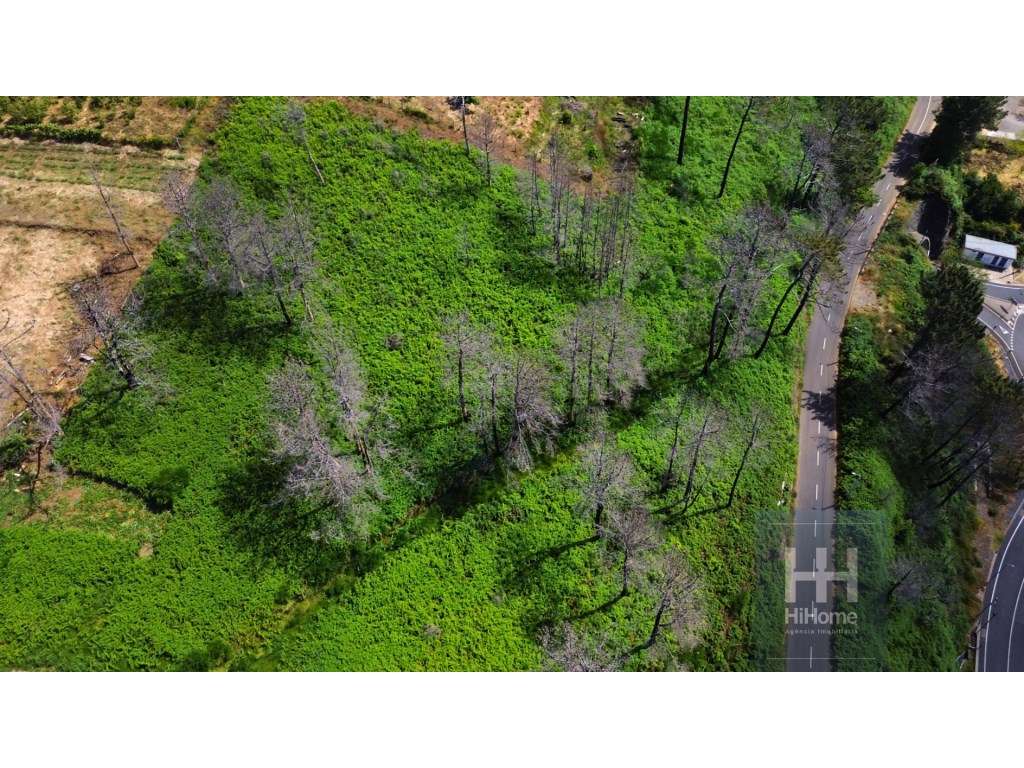 Terreno na Fajã da Ovelha, com capacidade para construção de uma mo... - Grande imagem: 5/35