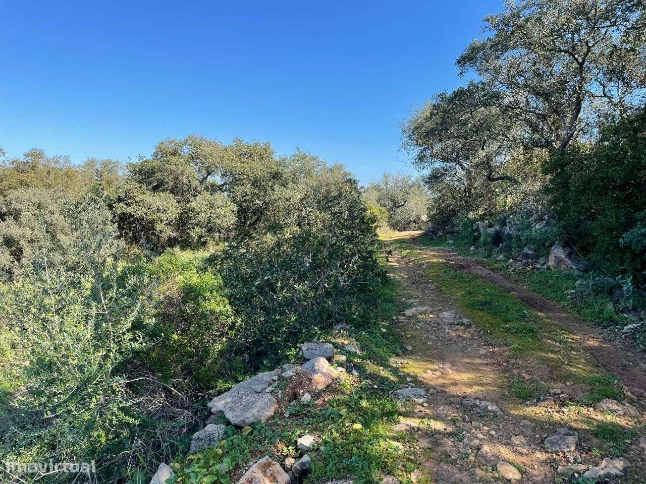 Terreno Rustico No Sitio do Peral - Grande imagem: 3/9