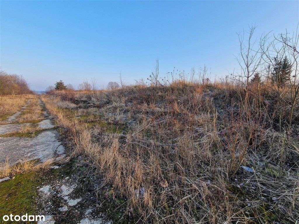 Syndyk sprzeda działki - Pełny obrazek: 3/11