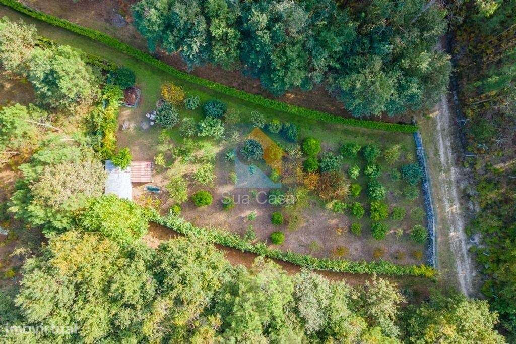 Fantástico bangalô rodeado de natureza, paz e sossego! - Grande imagem: 4/15