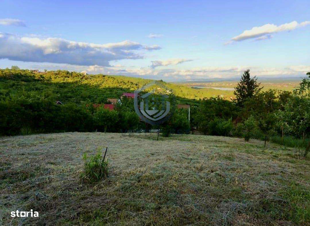 Teren Intravilan, Podgoria - Imagine principală: 1/5