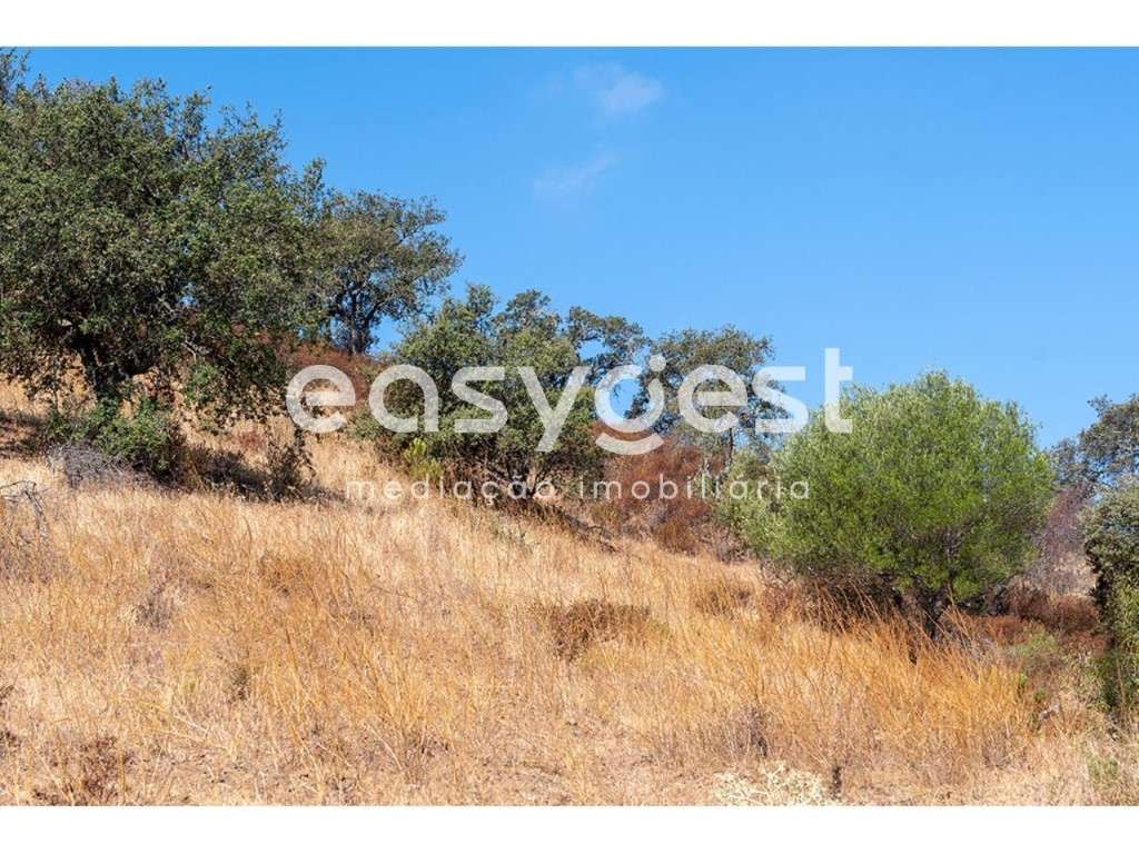 Terreno Rústico com 1.32 ha com vista para o Rio Guadiana - Grande imagem: 5/19