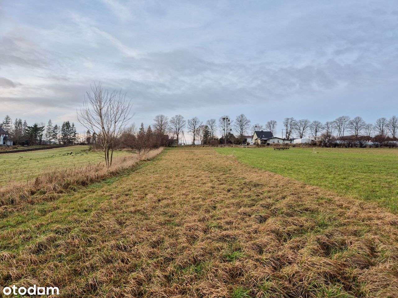 Działka, 1 336 m², Rybno-0