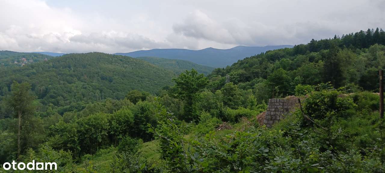 42,80 m2 dwupokojowe - BEZPOŚREDNIO - Pełny obrazek: 4/11