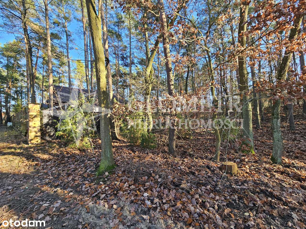 Osiedle Ekologiczne. leśna z prawem zabudowy - Pełny obrazek: 4/7