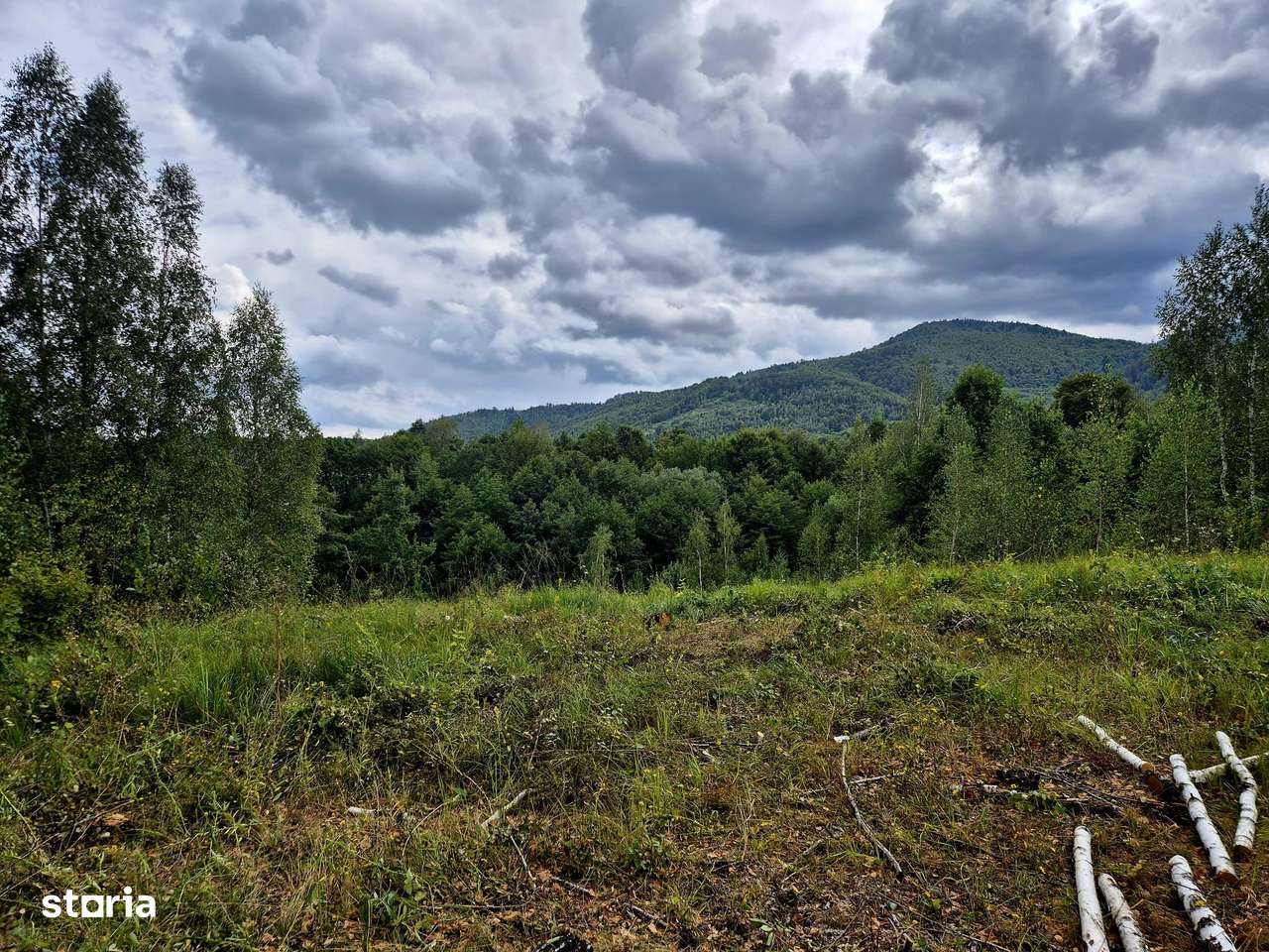 Teren ideal refugiu de weekend, 3182 mp/Plata in 2 rate !-6