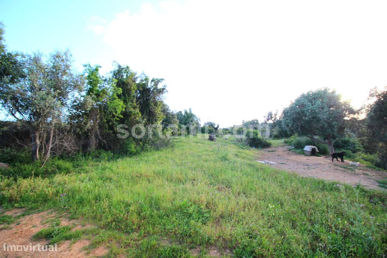 Terreno Para Construção  Venda em Alcantarilha e Pêra,Silves - Grande imagem: 5/13