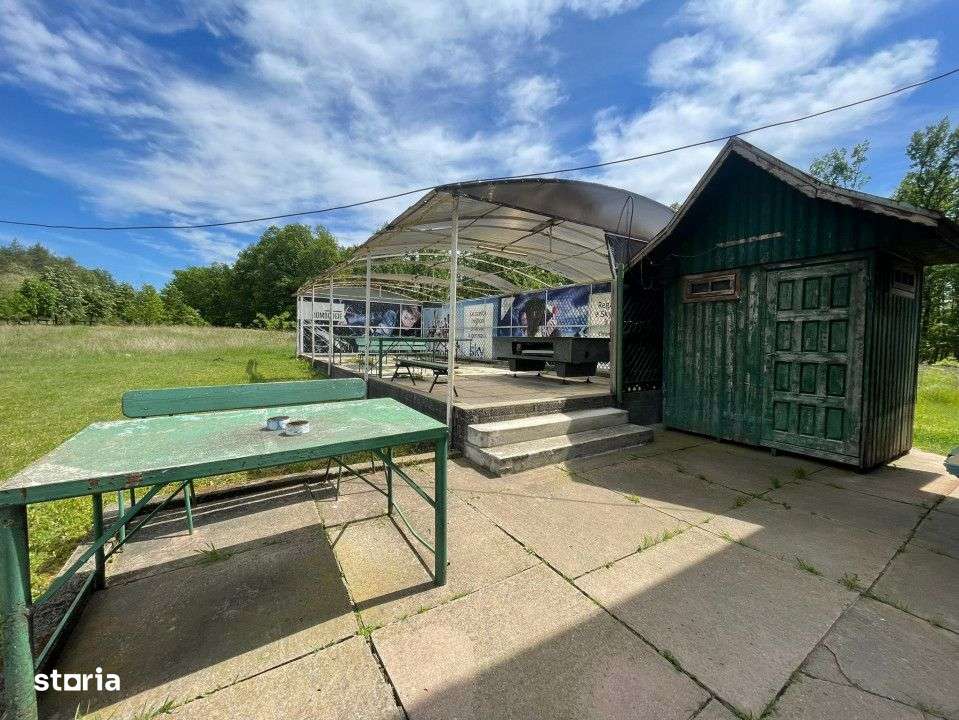 Vanzare teren *oportunitate investitie* in Carbunesti-Sat, la DN 67 B - Imagine principală: 5/9