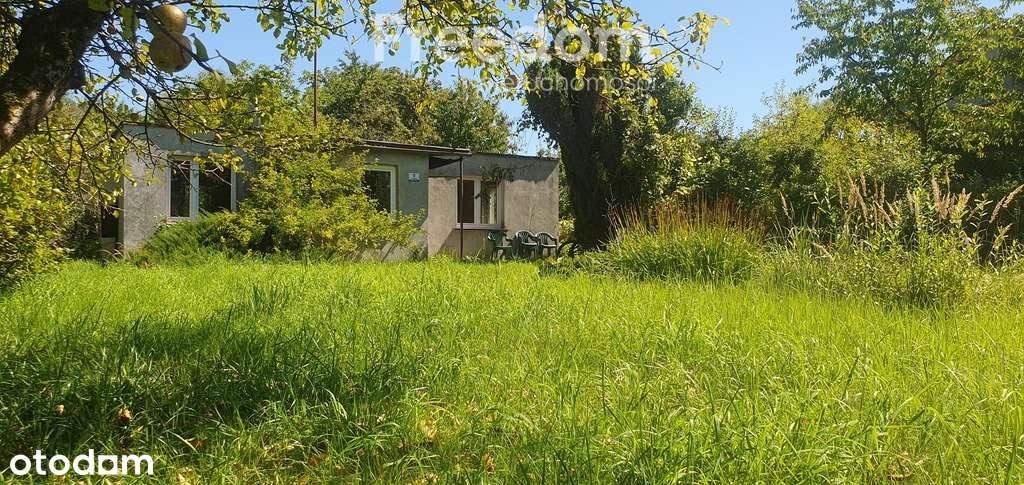 Duża działka budowlana z domkiem i sadem.-6