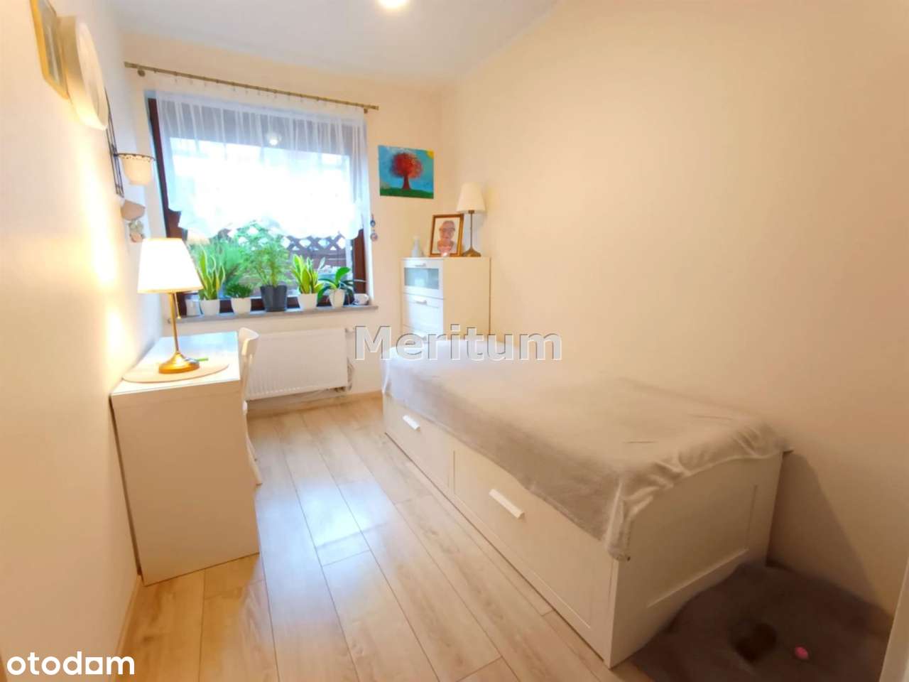 Trybowskiego. Osiedle Eskulapa.-6