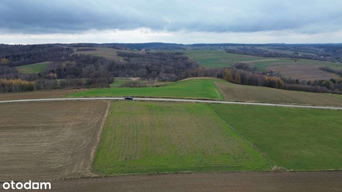 10 ar z WZ Wiśniowa - działka widokowa - Pełny obrazek: 5/5