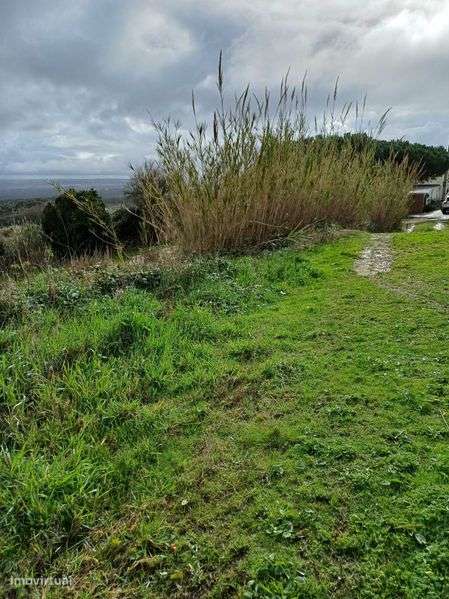 Terreno Serra do Bouro, C. Rainha - Grande imagem: 2/2