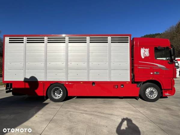 DAF XF 105.460 Euro 5 // Manual // Retarder // Do Żywca / Bydła / Zwierząt / - 4