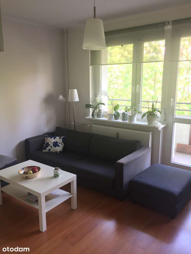 Przytulne mieszkanie w pięknej okolicy - Pełny obrazek: 3/14