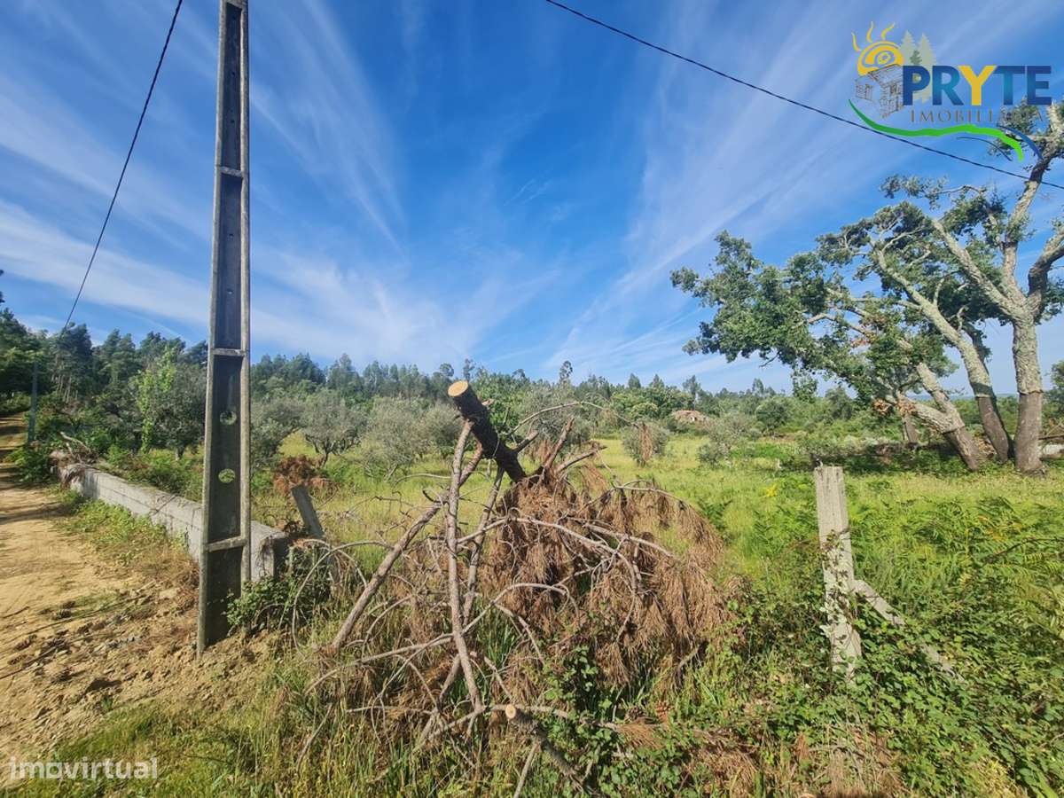 Quintinha agrícola situada Casalinho/Tapada-13
