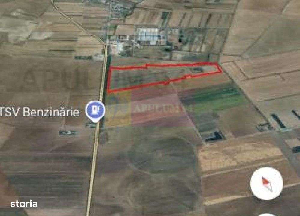 Teren 40ha Adunatii Copăceni | Industrial/ Logistic - Imagine principală: 5/6