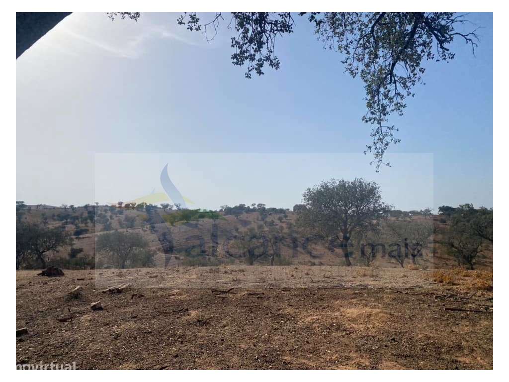 Propriedade de 35 ha - com Monte em Ruínas em Serpa - Grande imagem: 5/25