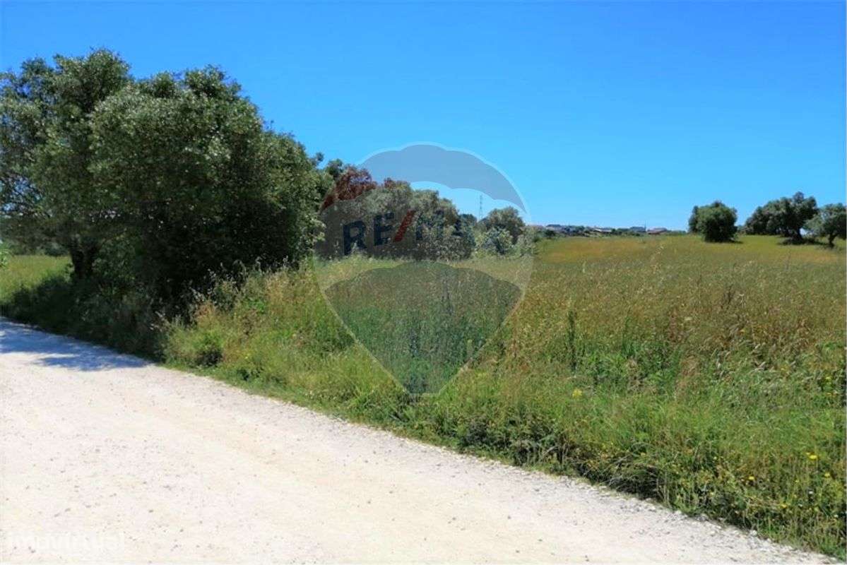 Terreno T0 para venda - Grande imagem: 3/11