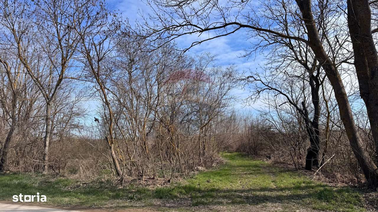 Teren intravilan, de vanzare, Olimp, Novum by the Sea - Imagine principală: 4/8