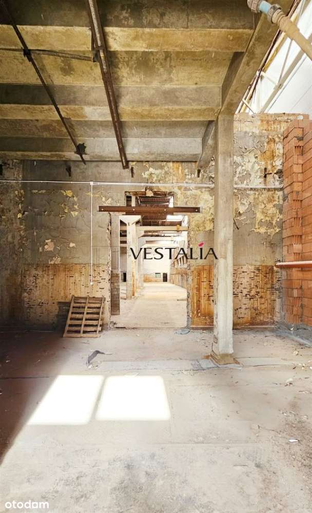 Hala Produkcyjno-Magazynowa Olkusz-8