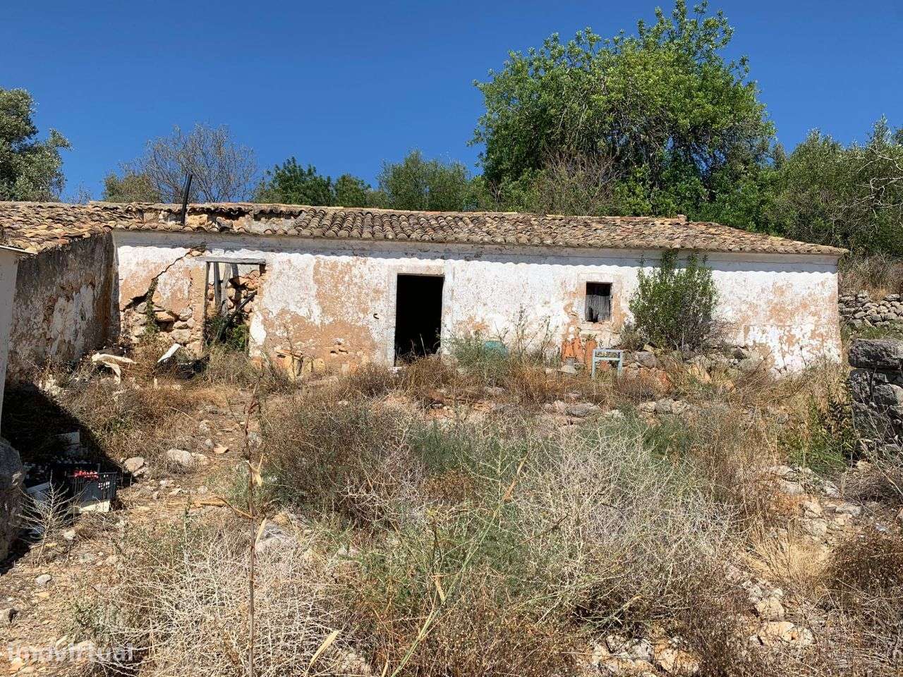 Terreno Urbano, com 3 artigos, Colmeal-9