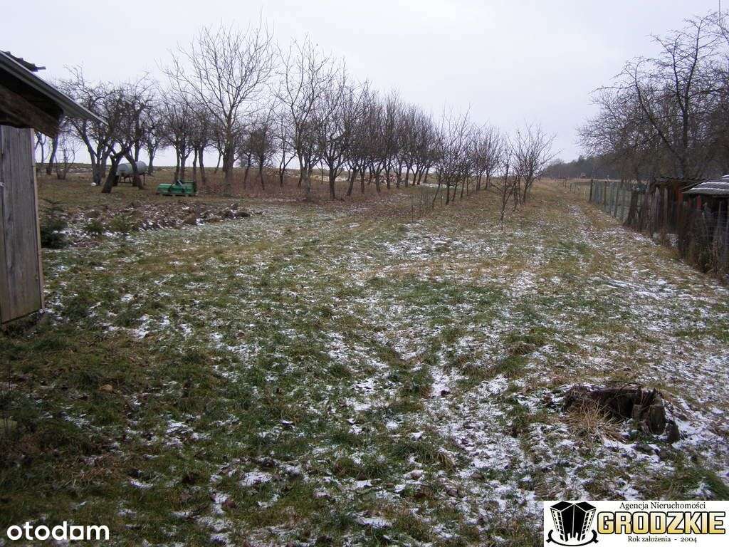 Niewielki dla Ciebie-4