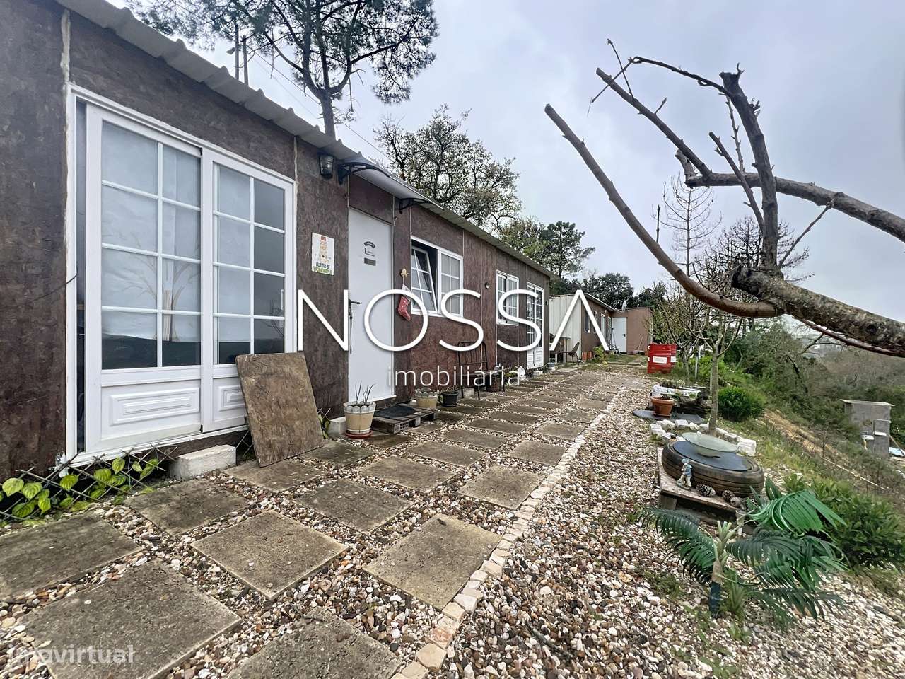 Terreno com Casa Modelar T1 em Plena Natureza – Zona de Santarém - Grande imagem: 5/24