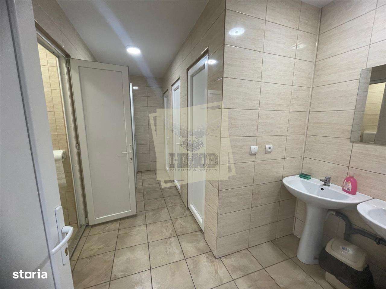 Hale industriale 5457 mp productii metalice in Cisnadie - Imagine principală: 5/5