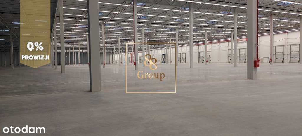 Do wynajęcia magazyn 2835m2 w Grodzisku Maz. - Pełny obrazek: 2/4