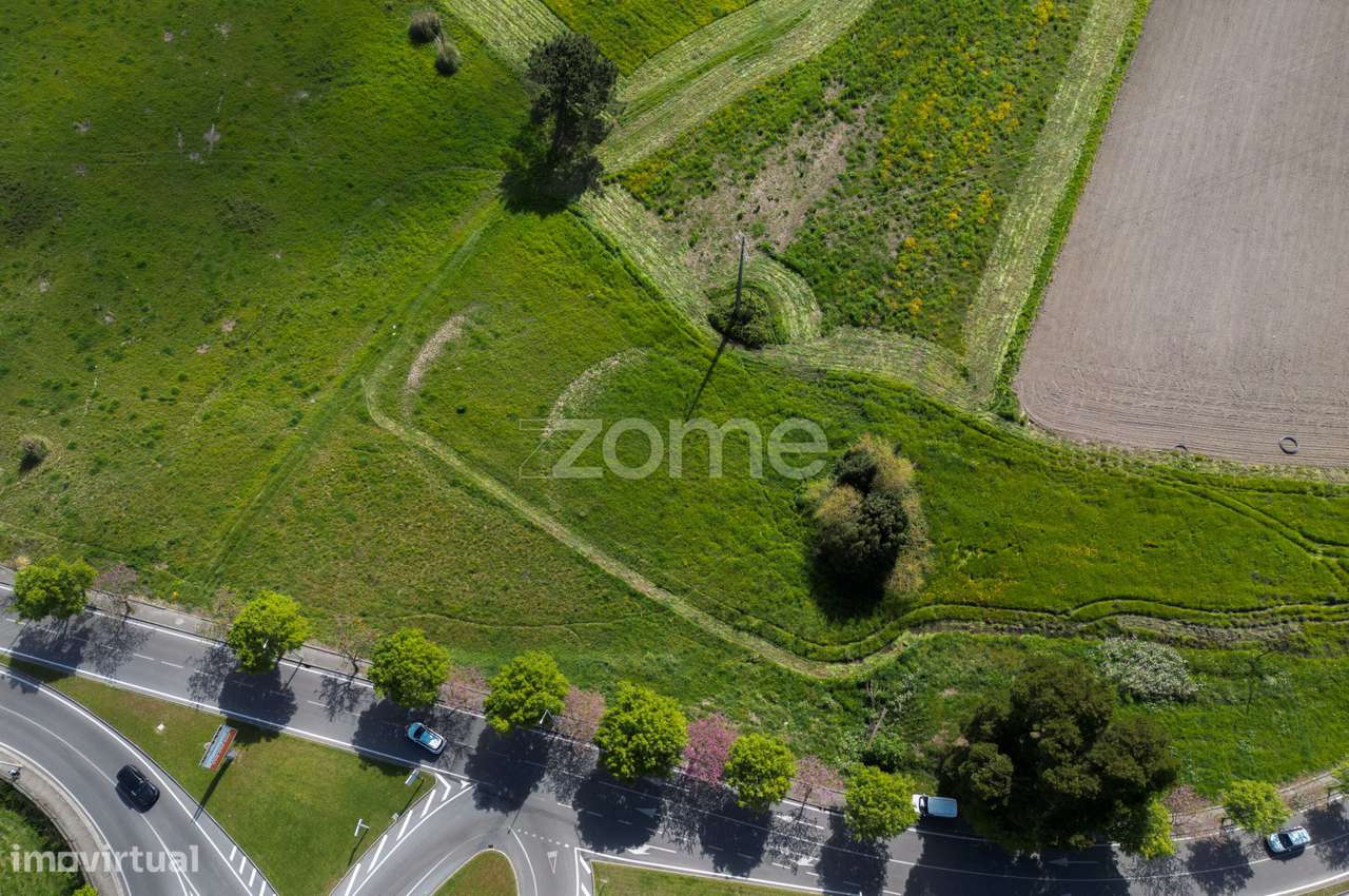 Terreno em Murta - Aveiro 2000m2 - Grande imagem: 3/4