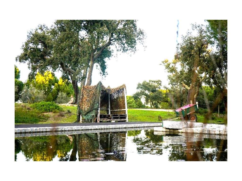 Monte Alentejano com 8,2 Hectares - Um Paraíso de Natureza e Sereni...-44