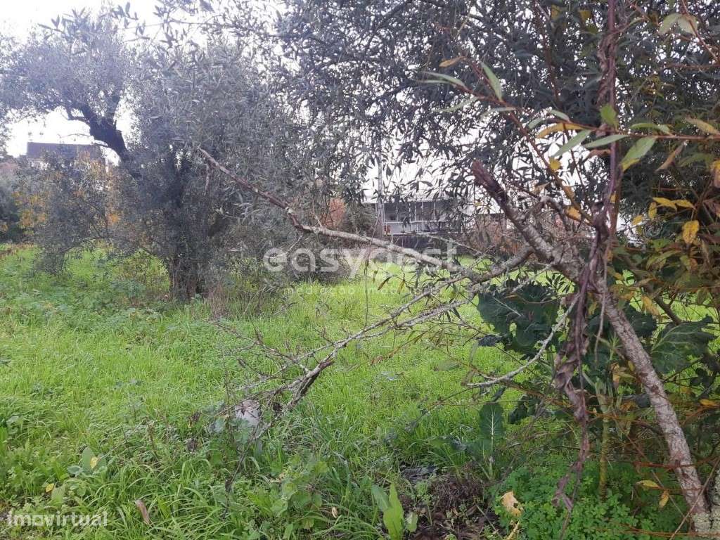 Terreno com 290m2, possibilidade de construção em Albergaria dos Doze - Grande imagem: 2/10