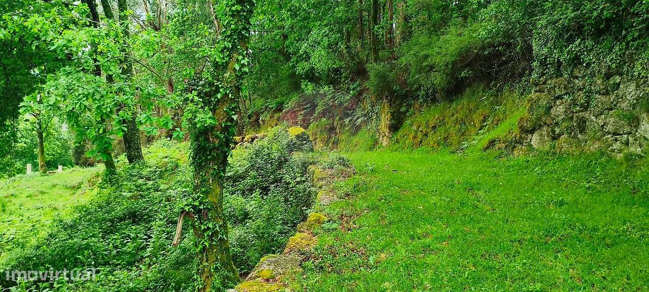 Terreno  para venda-39